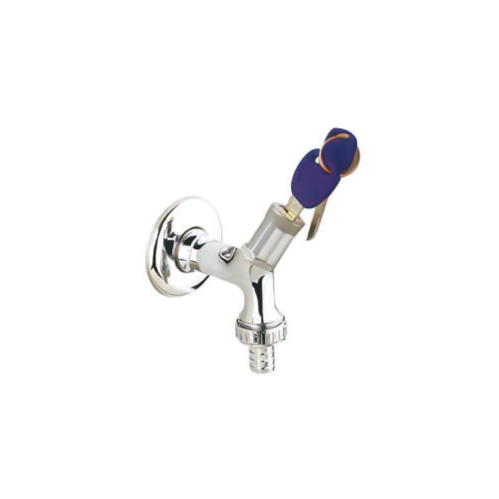 Kilitli Bahçe Musluğu